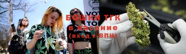 молекула духа Балахна