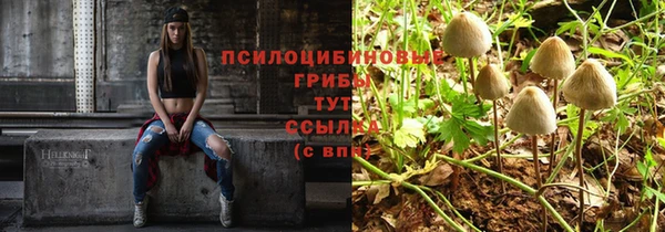 гашик Белокуриха