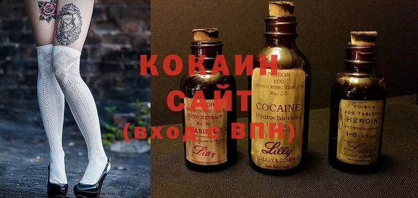 гашик Белокуриха