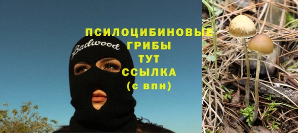 мескалин Арсеньев
