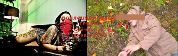 ГАЛЛЮЦИНОГЕННЫЕ ГРИБЫ Белоозёрский