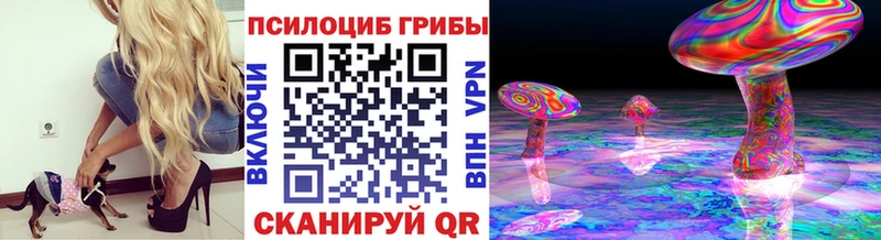 Купить  Славгород  Псилоцибиновые грибы GOLDEN TEACHER 